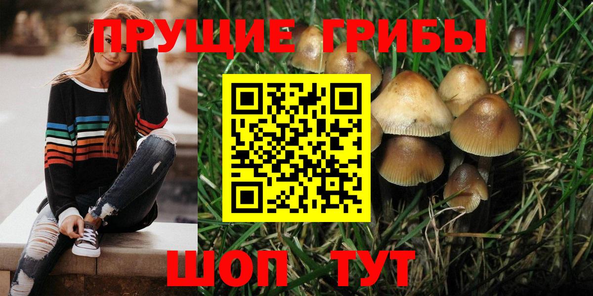 Галлюциногенные грибы MAGIC MUSHROOMS  Вход с VPN  Большой Камень 